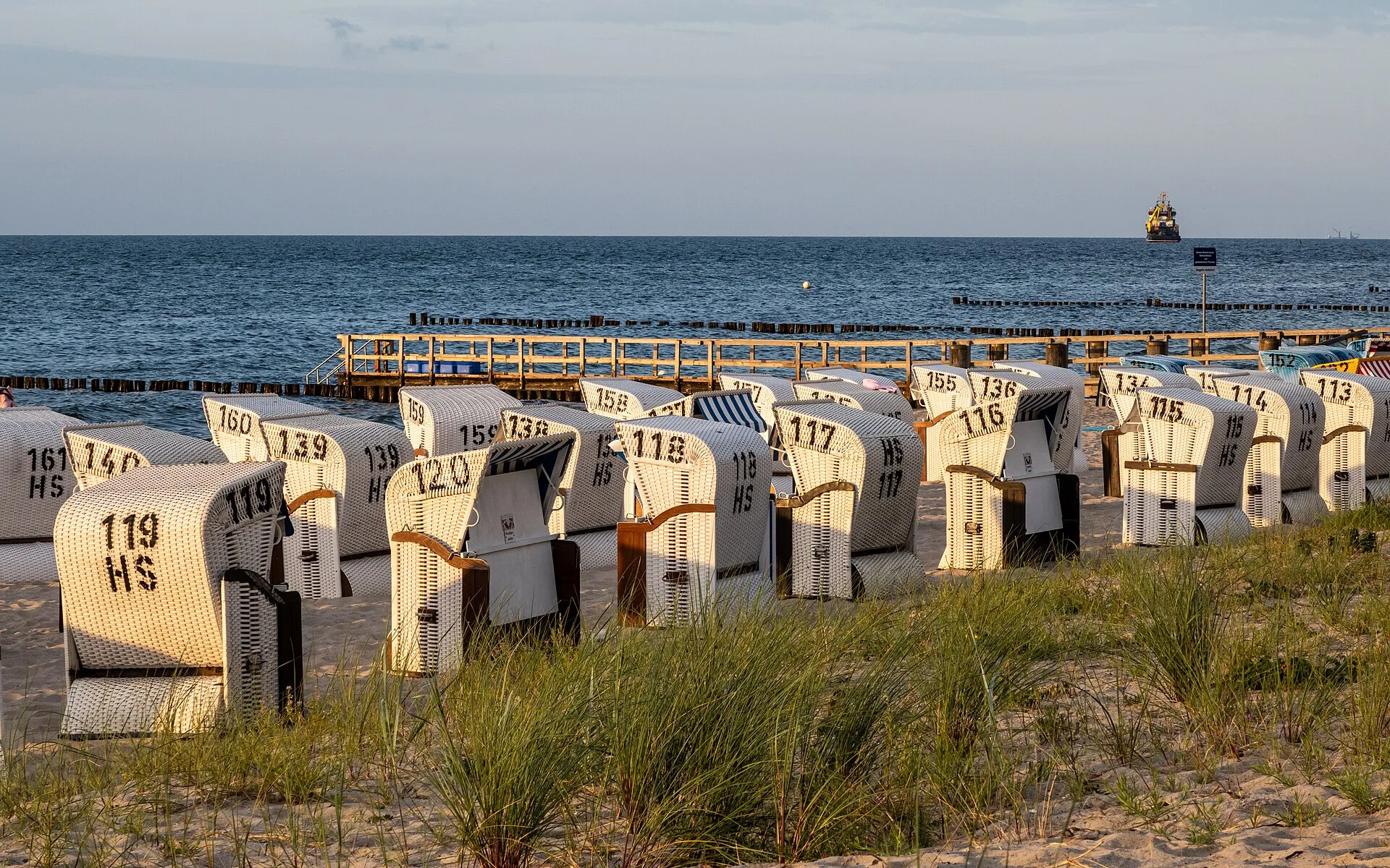 Weiße Strandkörbe mit Nummern am Strand von Kühlungsborn im Abendlicht, dahinter Buhnen und die Ostsee